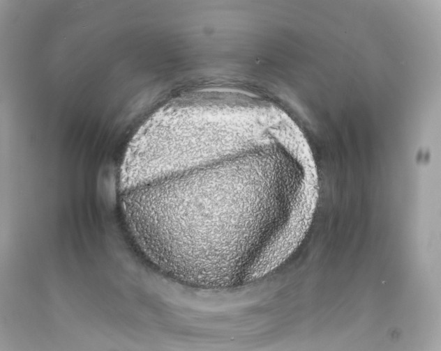 X0000091100022200709041333