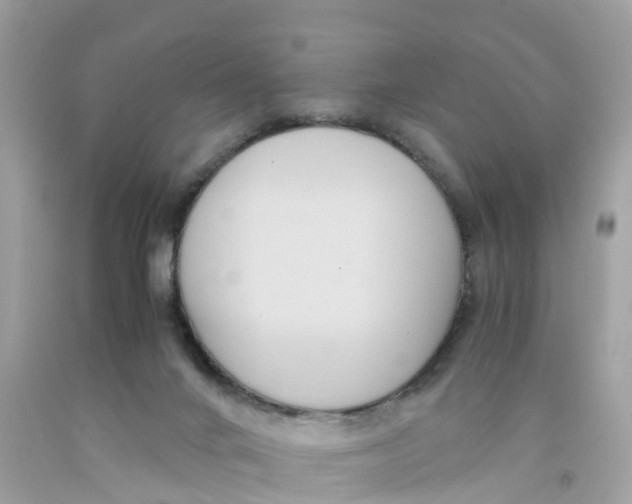 X0000091100024200709041333