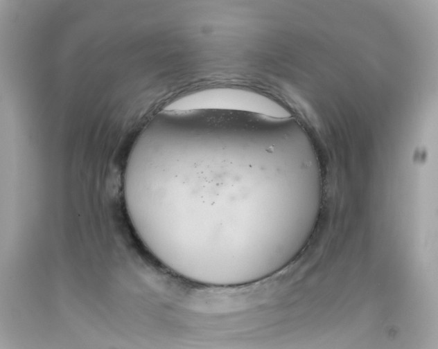 X0000091100025200709041333