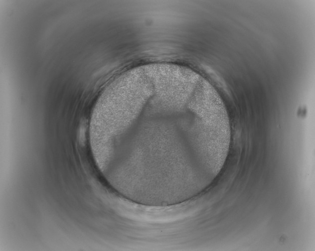 X0000091100026200709041333