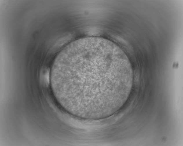 X0000091100028200709041333