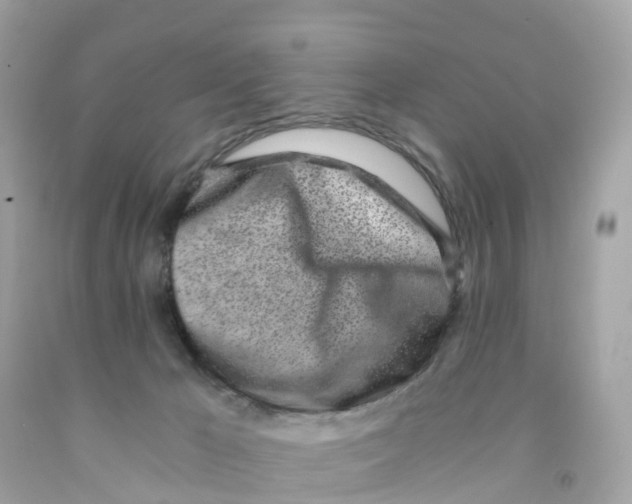 X0000091100029200709041333