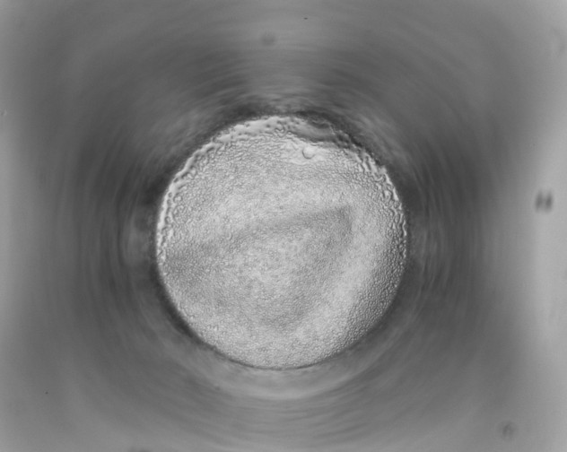 X0000091100030200709041333