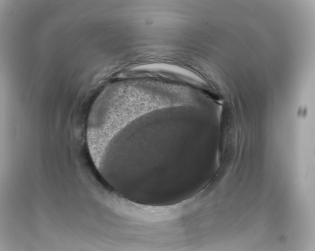 X0000091100031200709041333