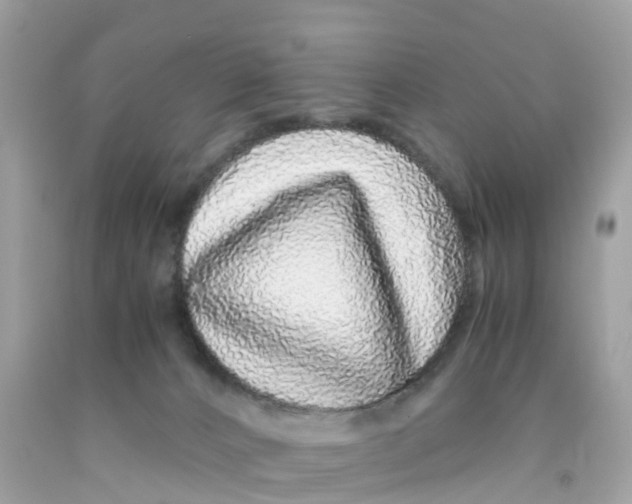 X0000091100032200709041333