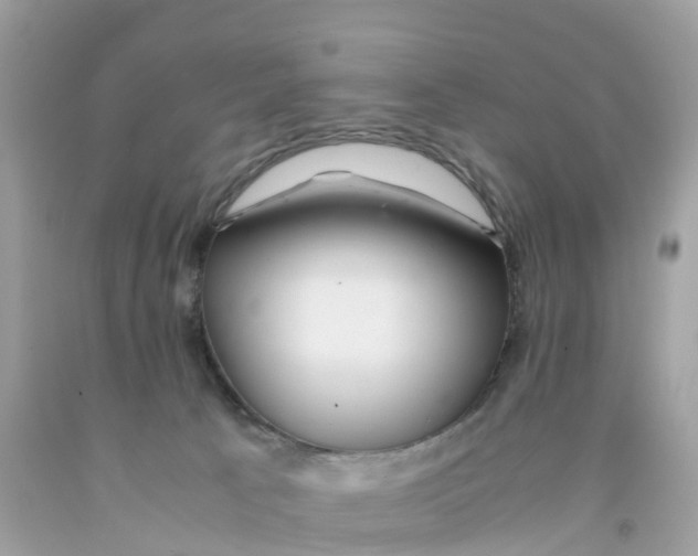 X0000091100033200709041333