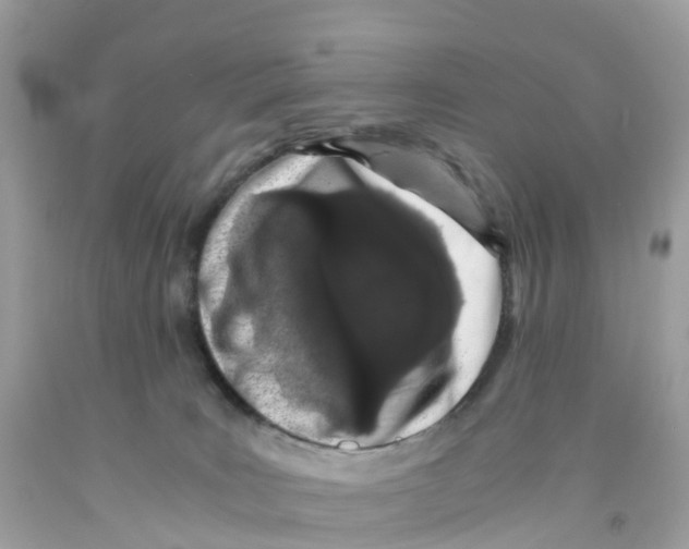 X0000091100035200709041333