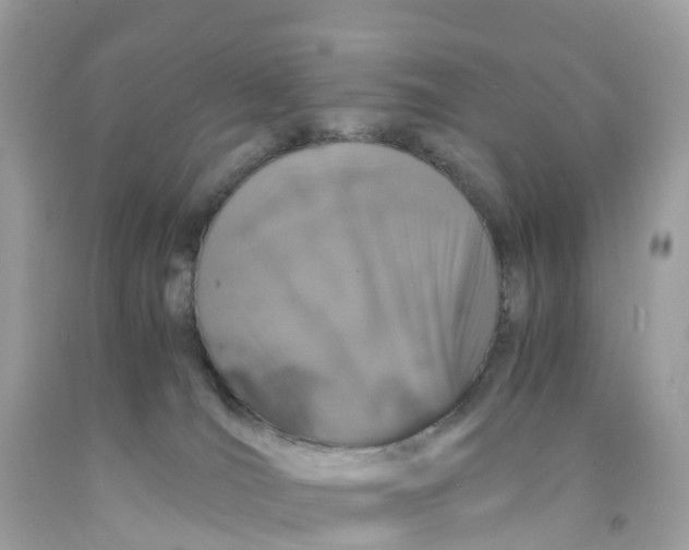 X0000091100036200709041333