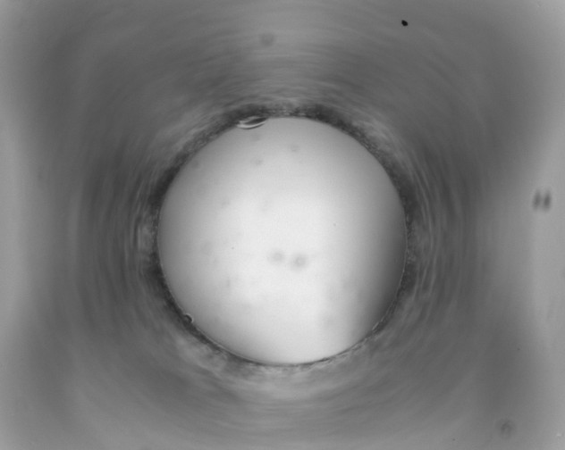 X0000091100037200709041333