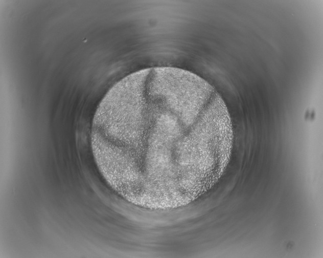 X0000091100038200709041333