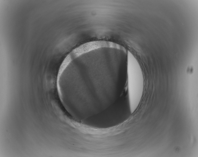 X0000091100039200709041333