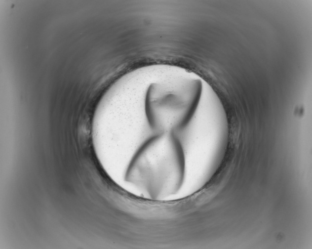 X0000091100040200709041333