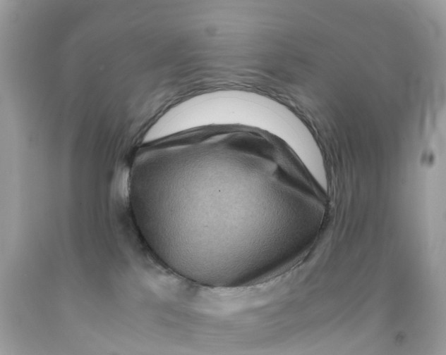 X0000091100041200709041333