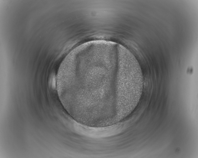 X0000091100046200709041332