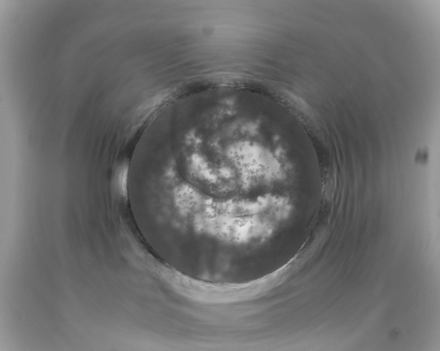 X0000091100047200709041332