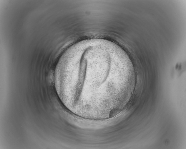 X0000091100048200709041332