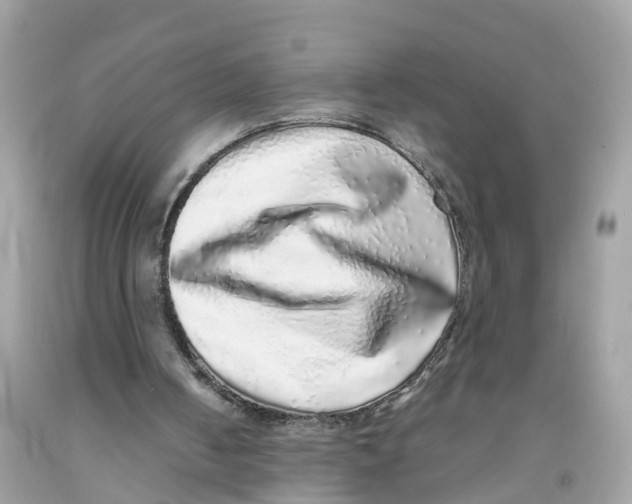 X0000091100050200709041332