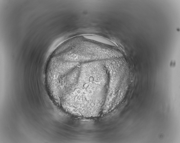 X0000091100053200709041332