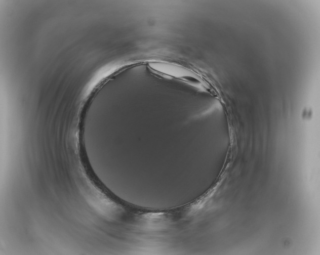 X0000091100054200709041332