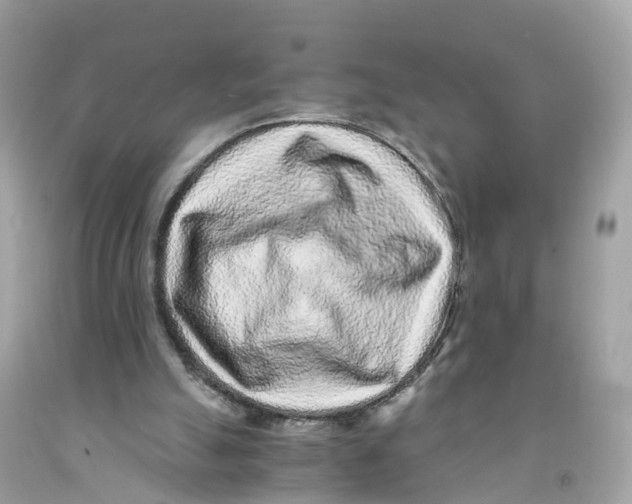 X0000091100055200709041332