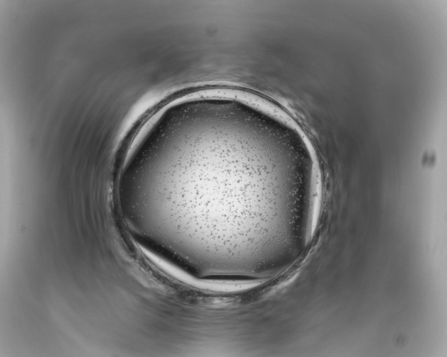 X0000091100056200709041332