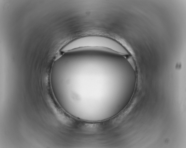 X0000091100057200709041332