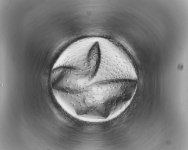 X0000091100058200709041332