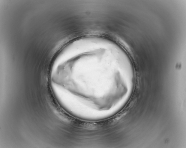 X0000091100059200709041332