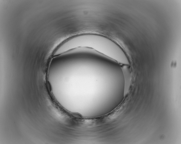 X0000091100060200709041332