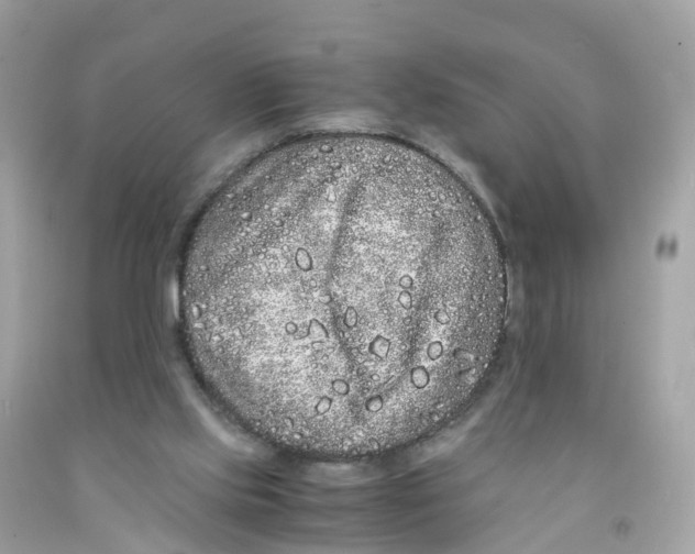 X0000091100061200709041332