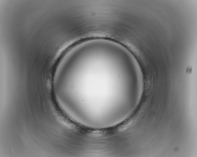 X0000091100064200709041332