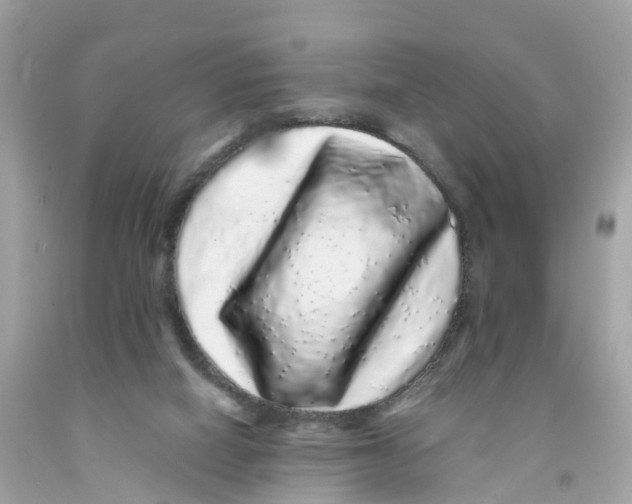 X0000091100066200709041332