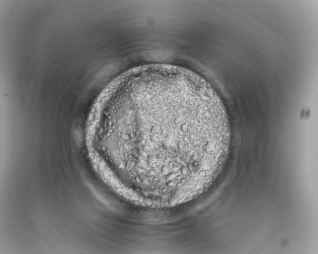 X0000091100069200709041332