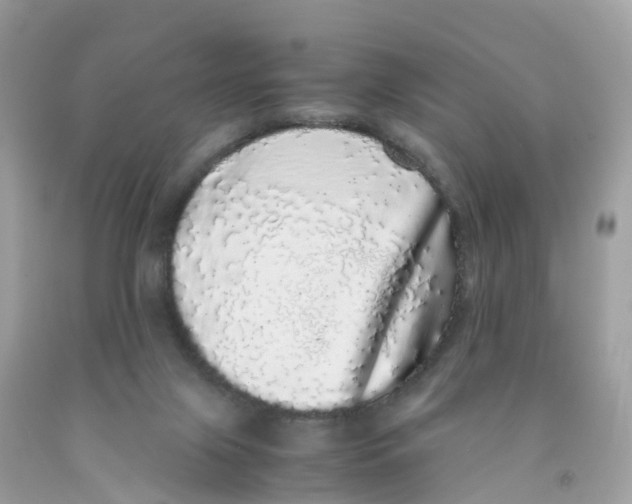 X0000091100071200709041332