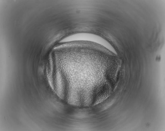 X0000091100072200709041332