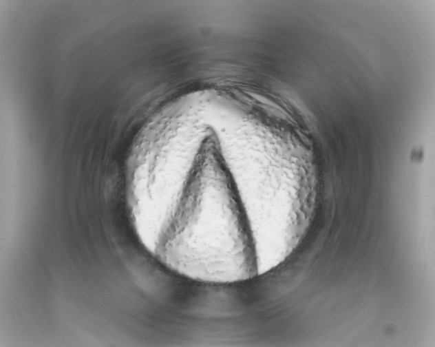 X0000091100073200709041332