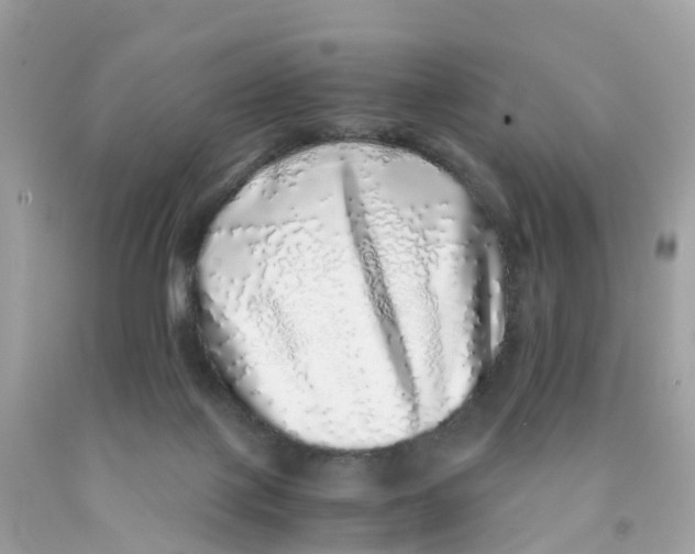 X0000091100075200709041332