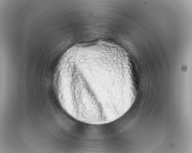 X0000091100077200709041332