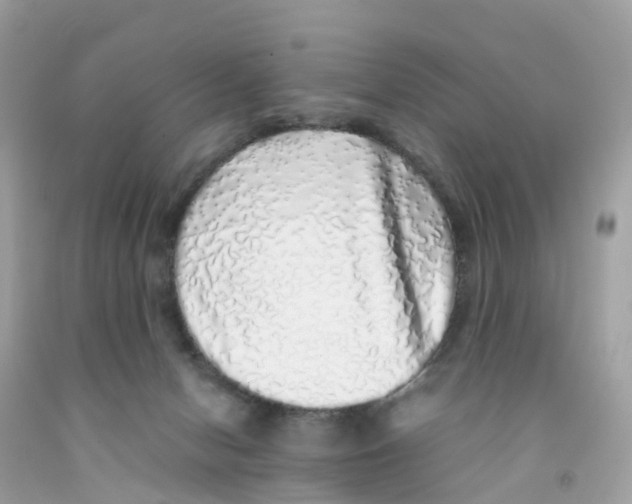 X0000091100078200709041332