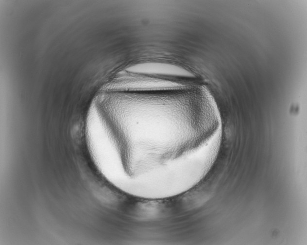 X0000091100079200709041332