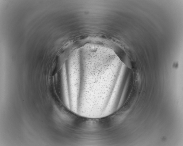 X0000091100080200709041332