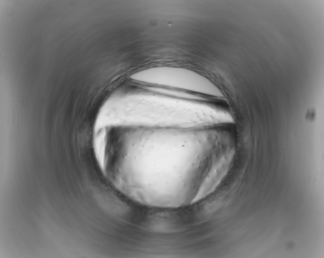 X0000091100081200709041332