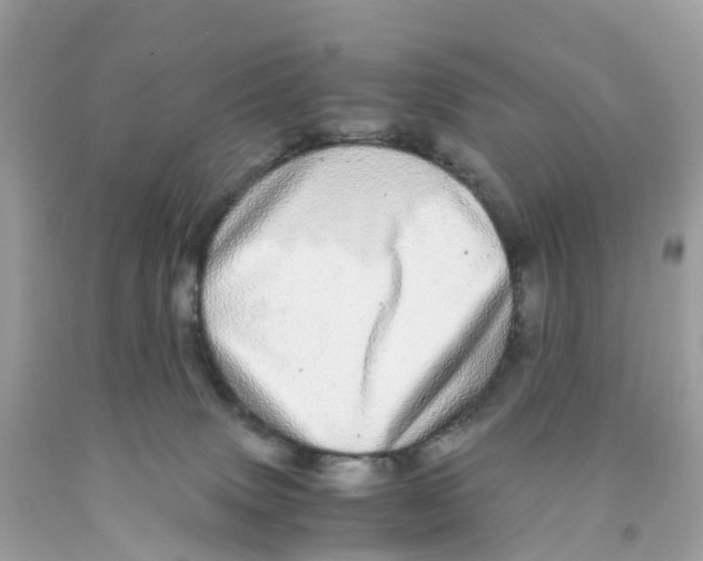 X0000091100083200709041332