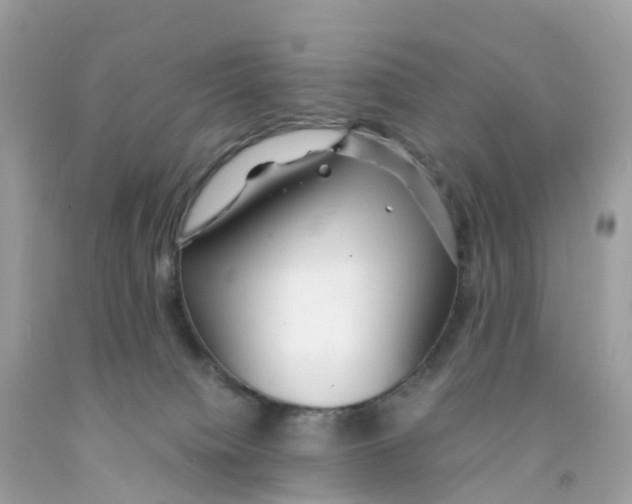 X0000091100084200709041332