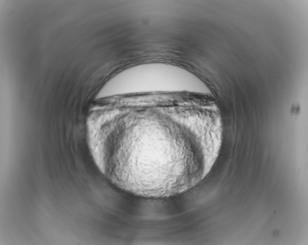 X0000091100085200709041332