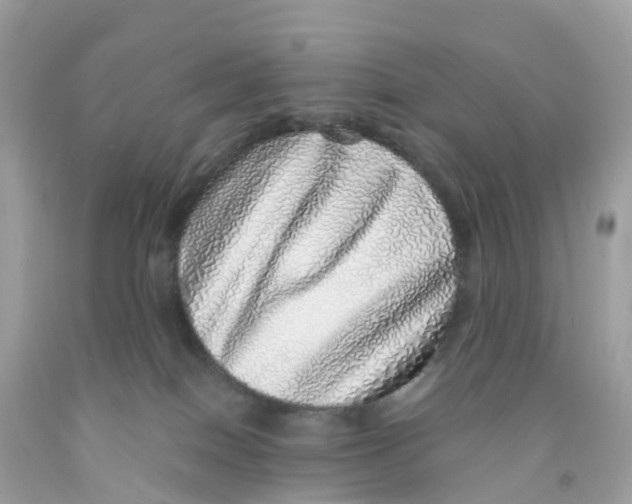 X0000091100086200709041332