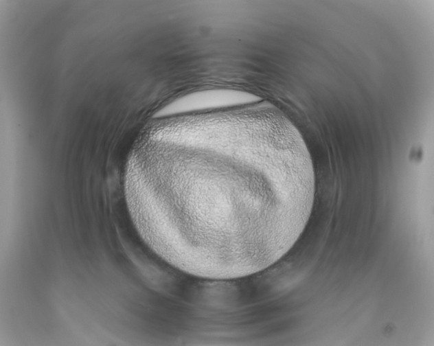 X0000091100087200709041332