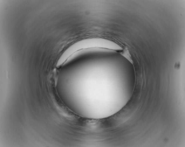 X0000091100088200709041332