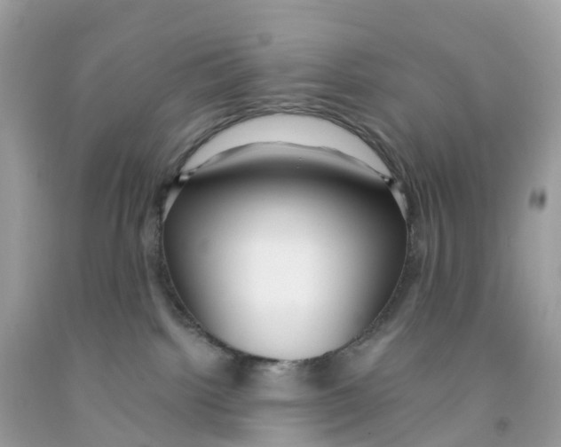 X0000091100092200709041332