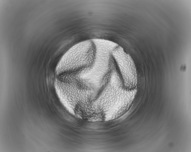 X0000091100094200709041332